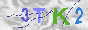 CAPTCHA-Bild
